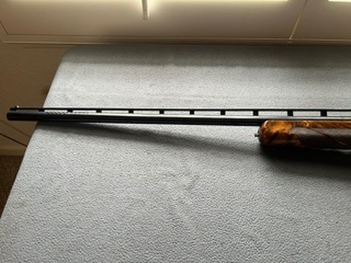 image6.jpeg