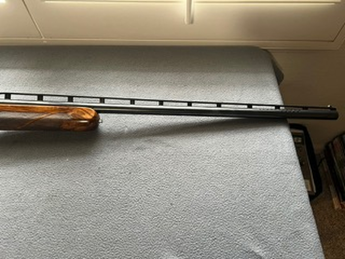 image8.jpeg