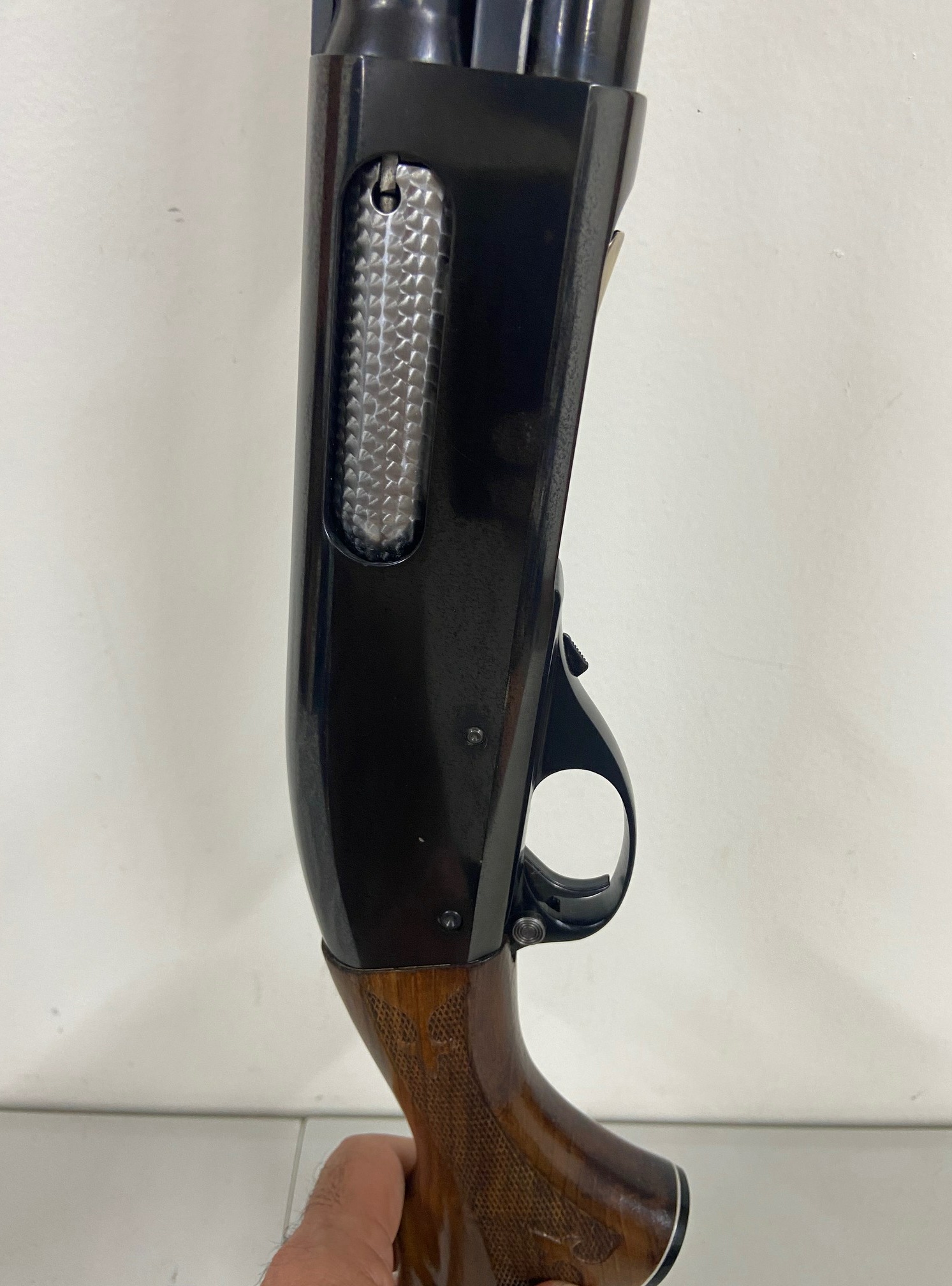 IMG_2779.jpg
