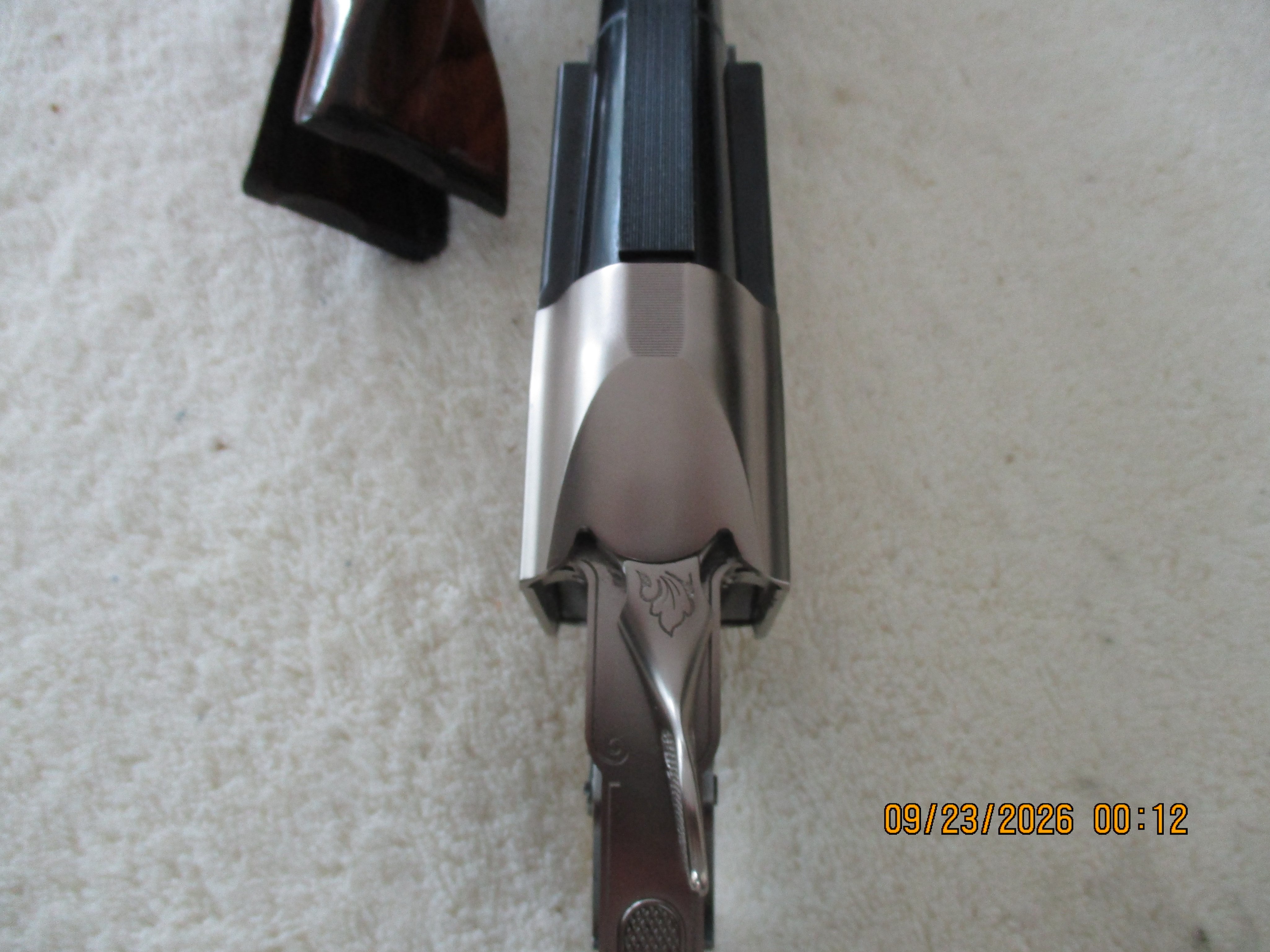 K80 32in 5.JPG