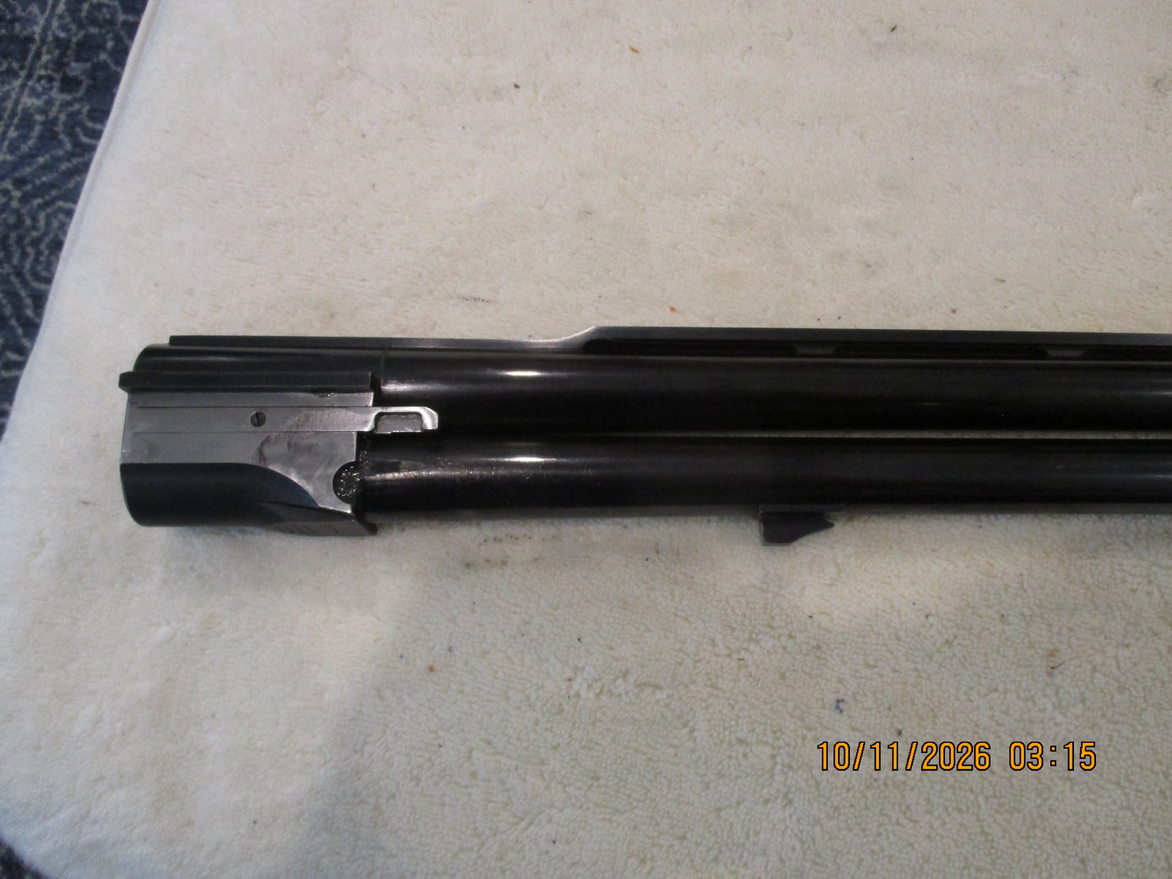 K80 34in 2.JPG