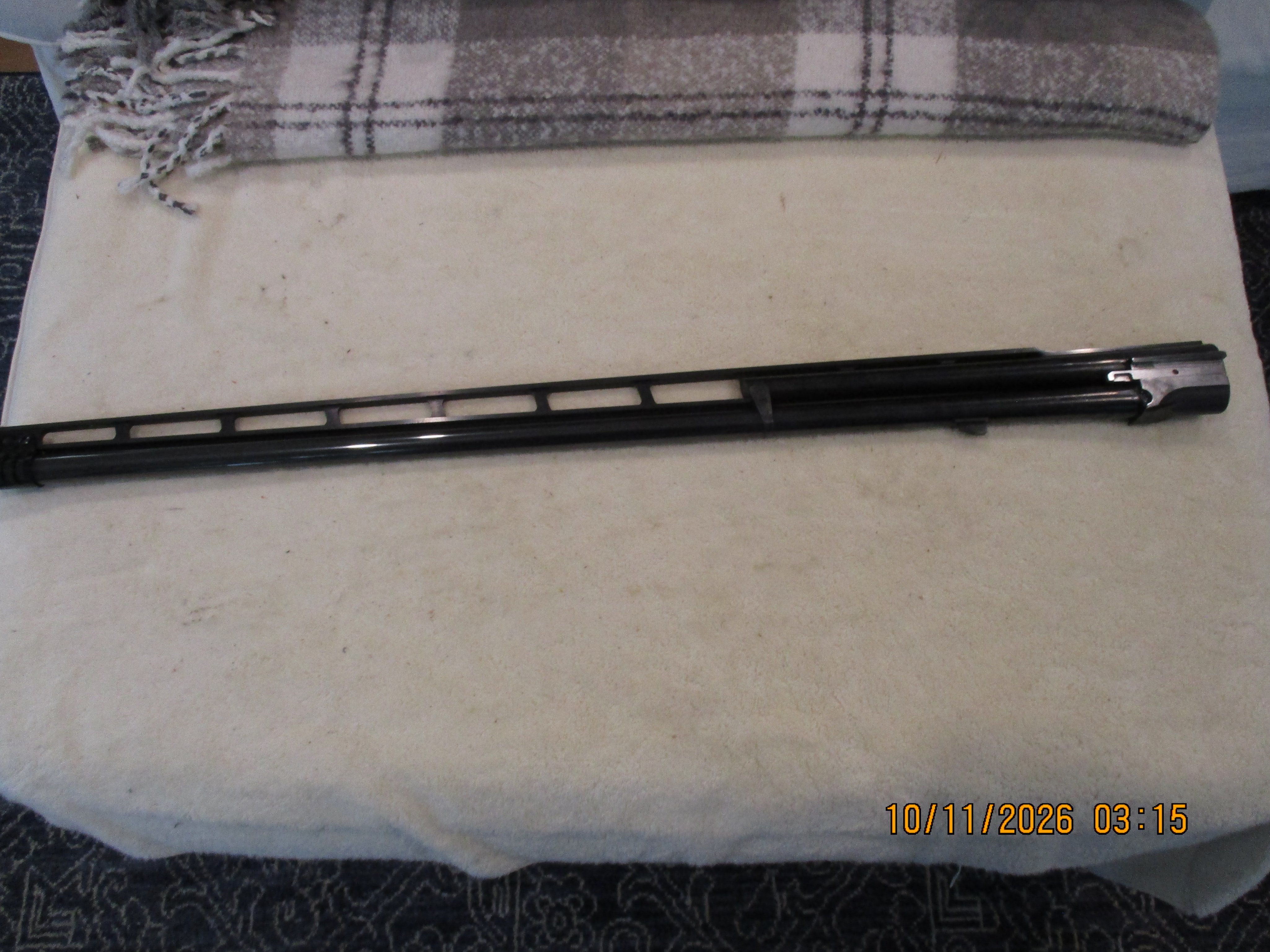 K80 34in 4.JPG
