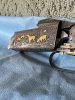 IMG_7126.jpeg