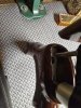 20250508_194524.jpg
