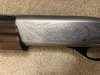 IMG_2987.jpeg