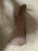 IMG_3015.jpeg