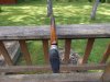 DSCN3126.JPG