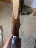 IMG_7431.jpeg