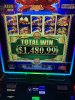 IMG_2300.jpeg