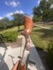 IMG_2773.jpeg