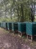 IMG_1906.jpeg