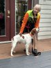 IMG_7389.jpeg