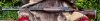 2 (12).jpeg