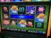 IMG_2527.jpeg