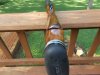 DSCN3226.JPG