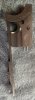 IMG_3636.jpeg