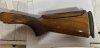 IMG_2222.jpeg