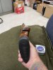 IMG_4256.jpeg