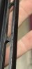 IMG_2356.jpeg