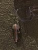 IMG_7172.jpeg