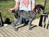 IMG_7777.jpeg