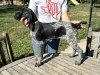 IMG_7769.jpeg