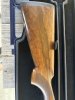 IMG_6156.jpeg