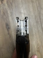 IMG_3902.jpeg