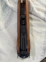 IMG_0968.jpeg