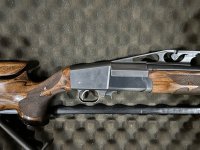 IMG_3921.jpeg