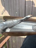 IMG_2982.jpeg