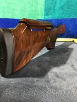 IMG_1388.jpeg