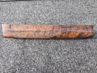 391 forearm rs.jpg