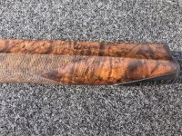 391 forearm 1.jpg