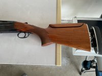 IMG_1555.jpeg
