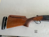 IMG_1556.jpeg