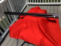 IMG_0100.jpeg