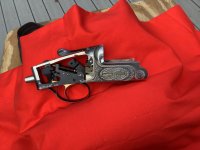 IMG_0105.jpeg