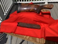 IMG_0103.jpeg