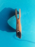 20260810_090702.jpg