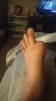 IMG_8231.jpeg