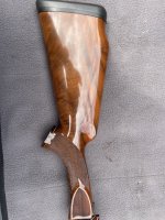IMG_2319.jpeg