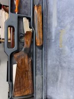 IMG_2800.jpeg