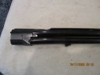 K80 34in 2.JPG