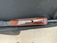IMG_3972.jpeg