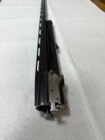 IMG_9803.jpeg