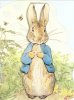 peter rabbit.jpg