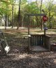 SDC10834.JPG